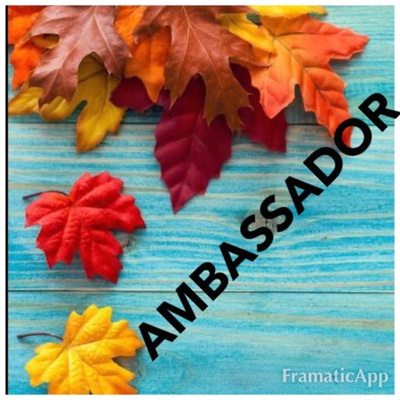 Poshmark Ambassador!!! - Picture 1 of 16